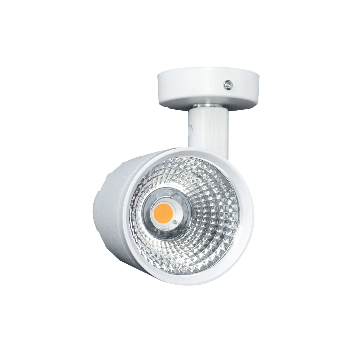 SP1100120 (+) -XXXP40W